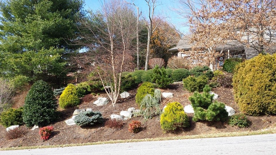 Steep Slope Erosion Control Options | Lawn-N-Order Landscaping