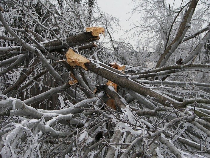 storm damage-winter-tree work