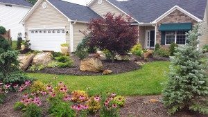 frontyard makeover-landscaping-drainage-Weaverville