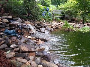 choosing a natural water feature. 