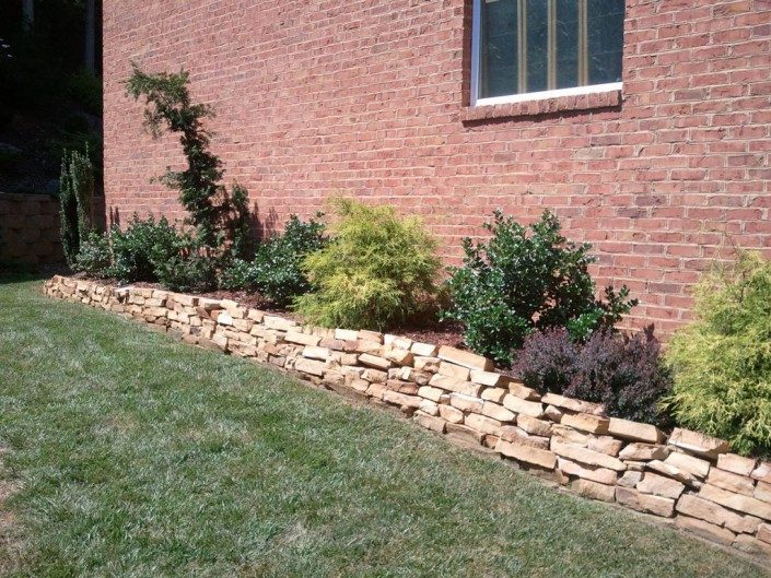 backyard-foundation plantings